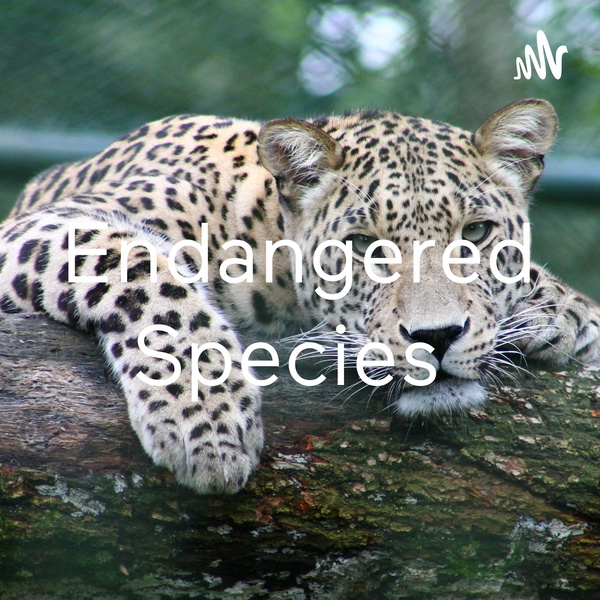 Artwork for Endangered Species