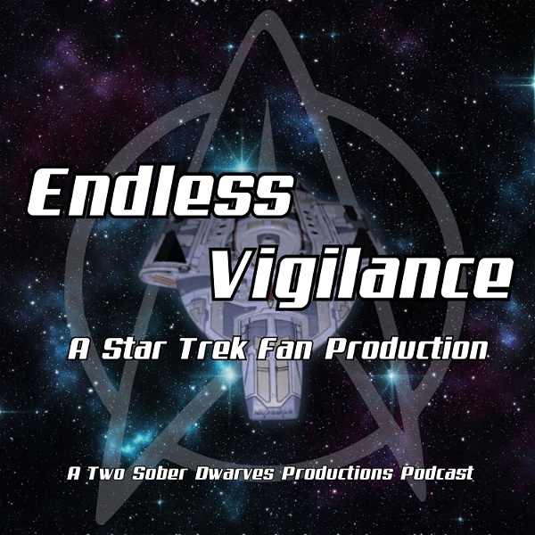 Artwork for Endless Vigilance: A Star Trek Fan Production