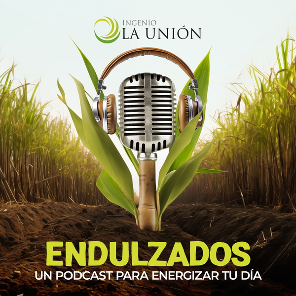 Artwork for Endulzados