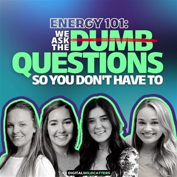 Artwork for Energy 101: We Ask The Dumb Questions So You Don't Have To