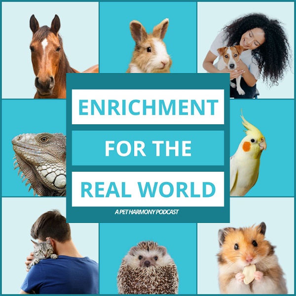 Artwork for Enrichment for the Real World