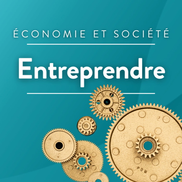 Artwork for Entreprendre, l'intégrale