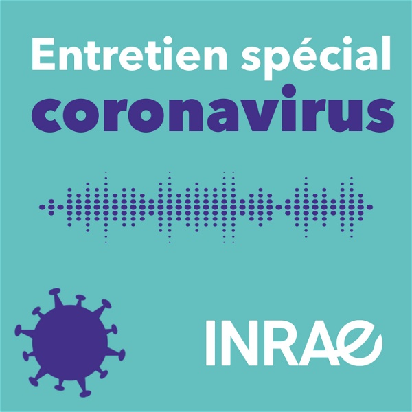 Artwork for Entretien spécial coronavirus