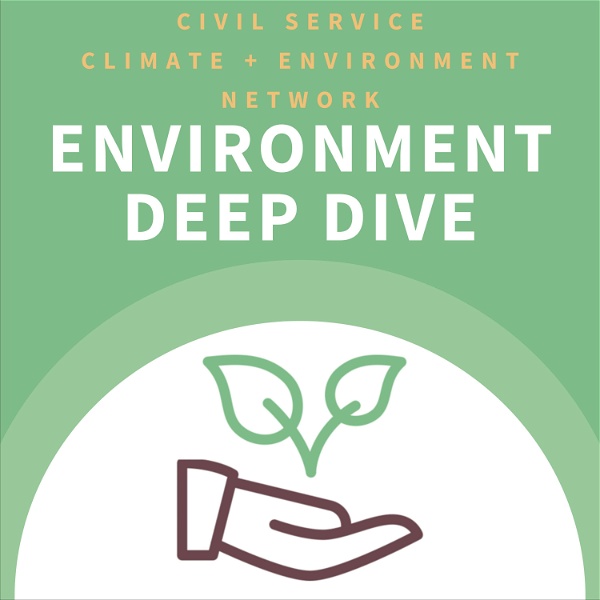 Artwork for Environment Deep Dive
