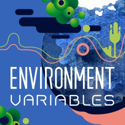 Artwork for Environment Variables