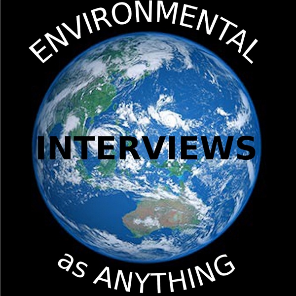 Artwork for Environmental as Anything Interviews