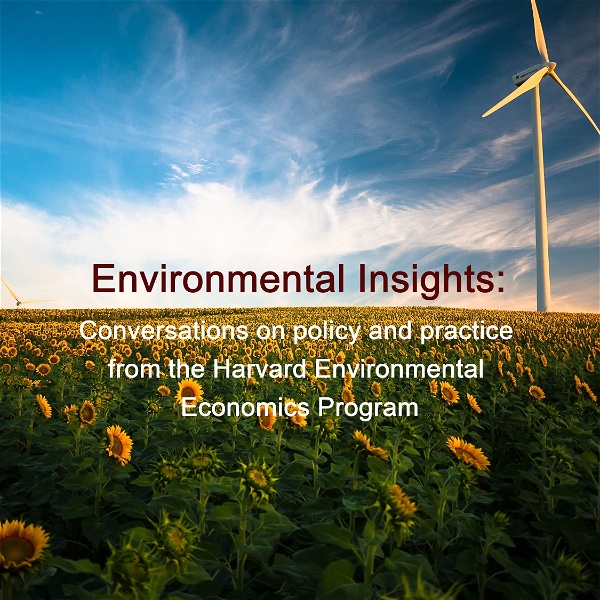 Artwork for Environmental Insights: Conversations on policy and practice from the Harvard Environmental Economics Program