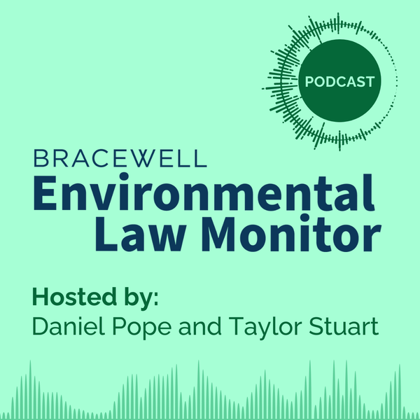 Artwork for Environmental Law Monitor