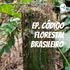 Ep. Código Florestal Brasileiro