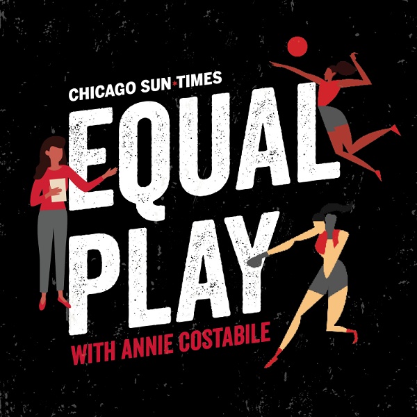 Artwork for Equal Play