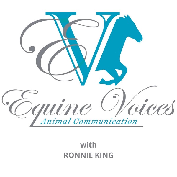 Artwork for Equine Voices Podcast