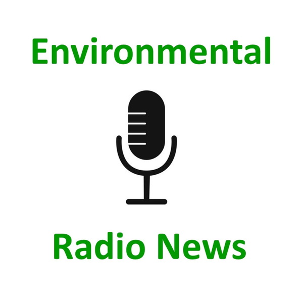 Artwork for ERN report