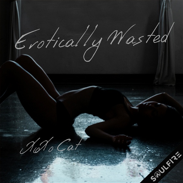 Artwork for Erotically Wasted