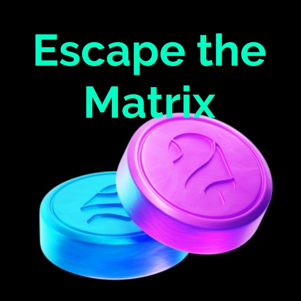 Artwork for Escape the Matrix