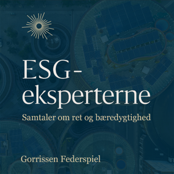 Artwork for ESG-eksperterne