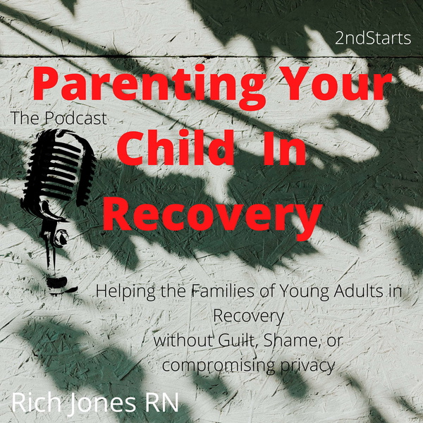 Artwork for Parenting Your Child in Recovery
