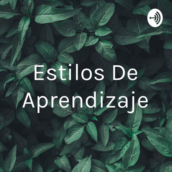 Artwork for Estilos De Aprendizaje