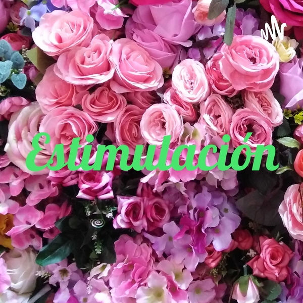 Artwork for Estimulación