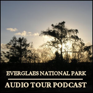 Artwork for Everglades by Car Audio Tour Podcast