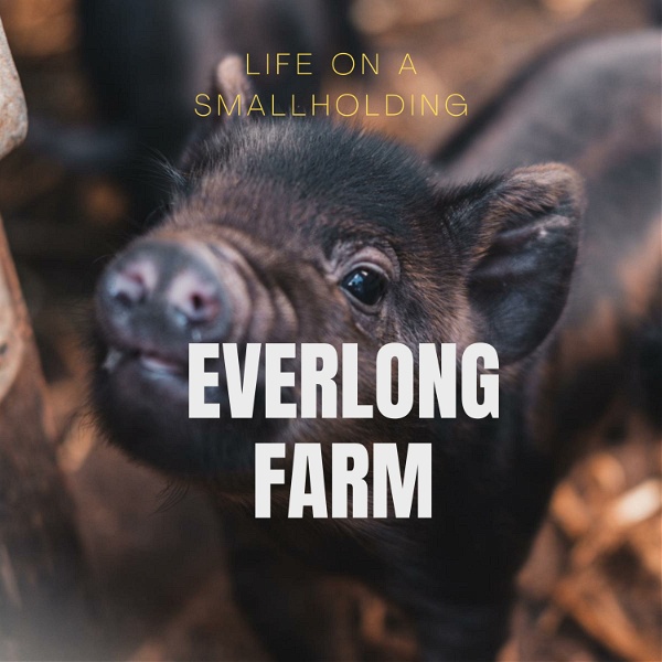 Artwork for Everlong Farm