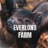 Everlong Farm - Life on a smallholding