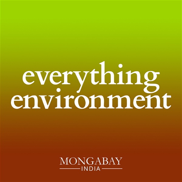 Artwork for Everything Environment by Mongabay India