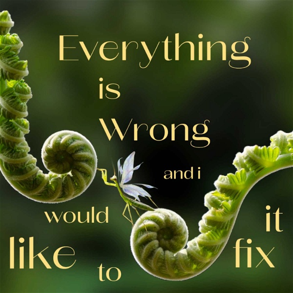 Artwork for Everything is Wrong and I Would Like to Fix It.