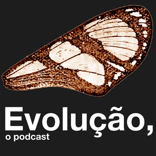Artwork for Evolução, o Podcast