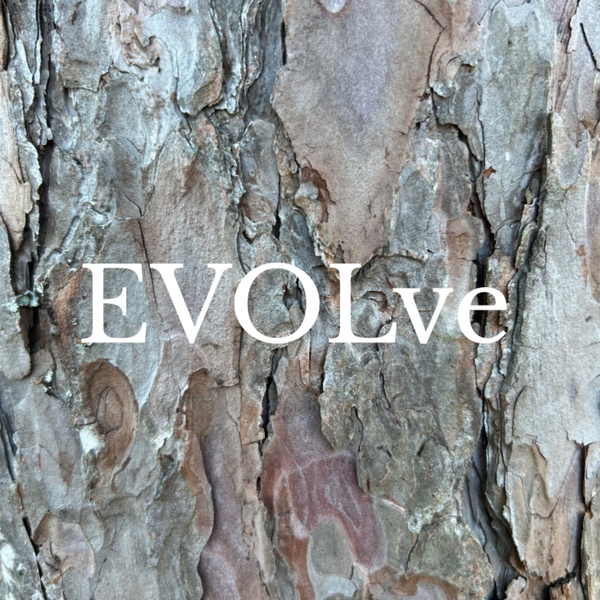 Artwork for Evolve Love