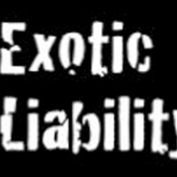 Artwork for Exotic Liability