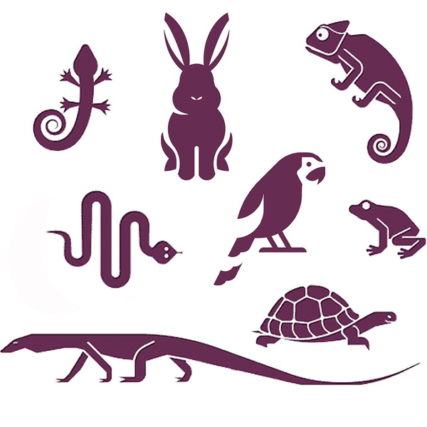 Artwork for Exotic Pets™