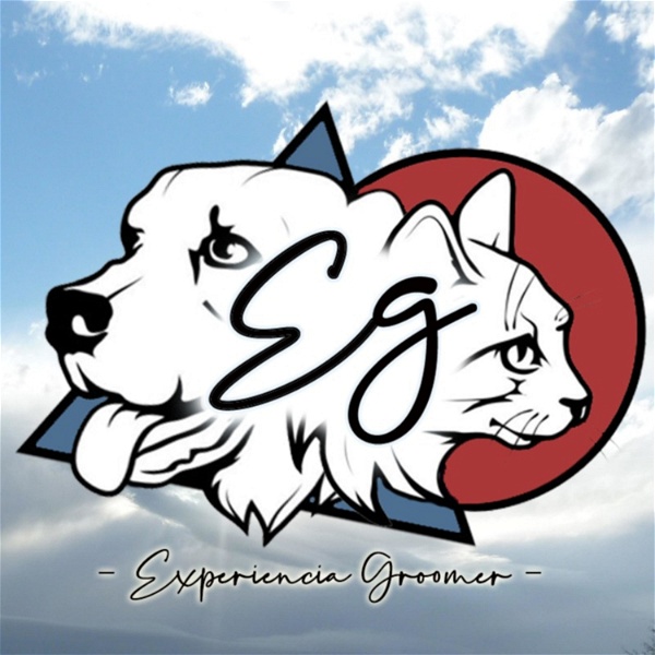 Artwork for Experiencia Groomer