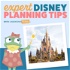 Expert Disney Planning Tips by Undercover Tourist