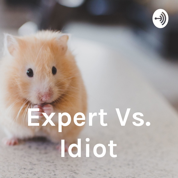 Artwork for Expert Vs. Idiot