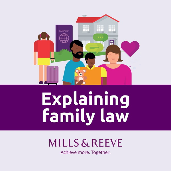 Artwork for Explaining family law
