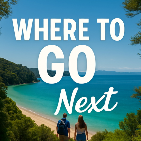 Artwork for Where to Go Next