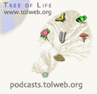Artwork for Exploring Arizona Life Science Research and Biodiversity with the Tree of Life Web Project