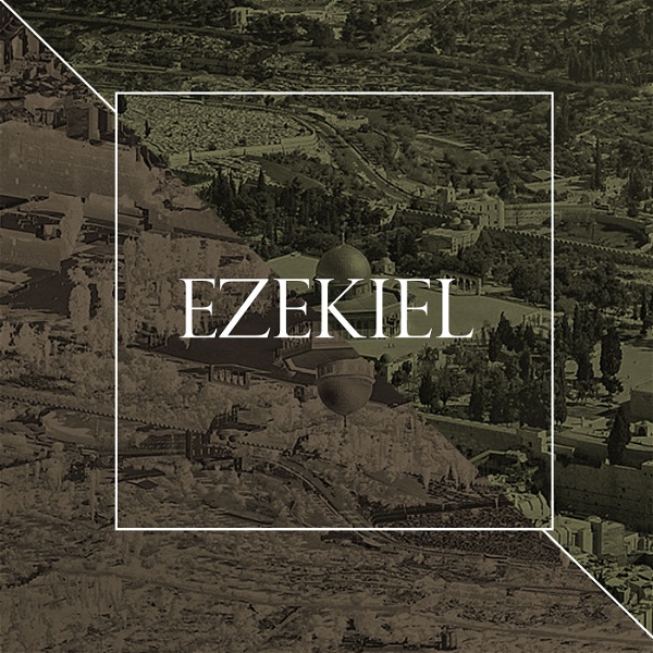 Artwork for Ezekiel