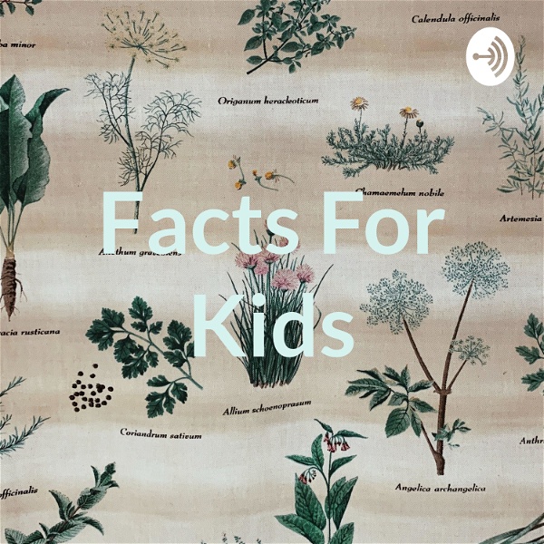 Artwork for Facts For Kids