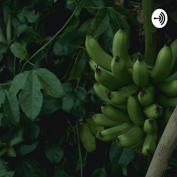 Artwork for Fairtrade