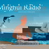 Falun Dafa News and Cultivation