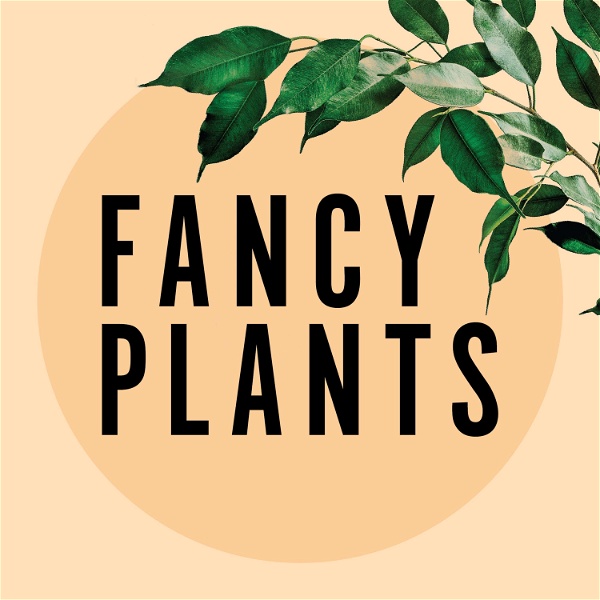 Artwork for Fancy Plants Podcast