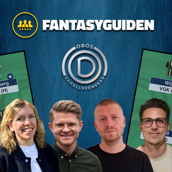 Artwork for FantasyGuiden Dam