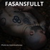 Fasansfullt