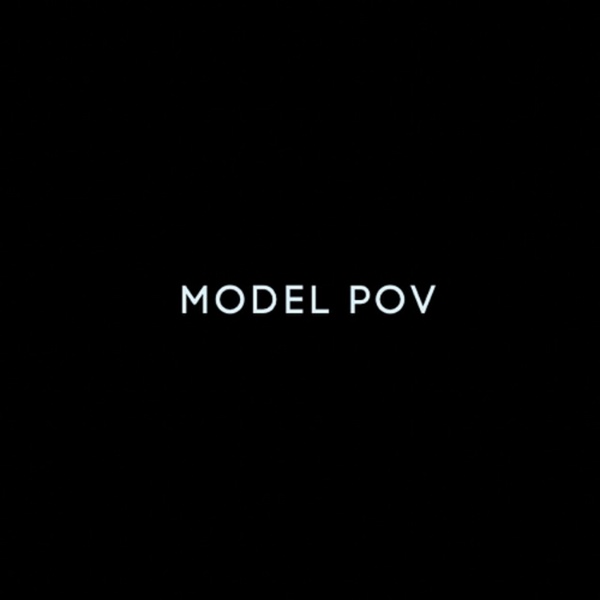 Artwork for Model POV
