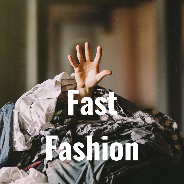 Artwork for Fast Fashion