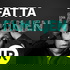Fatta familjen