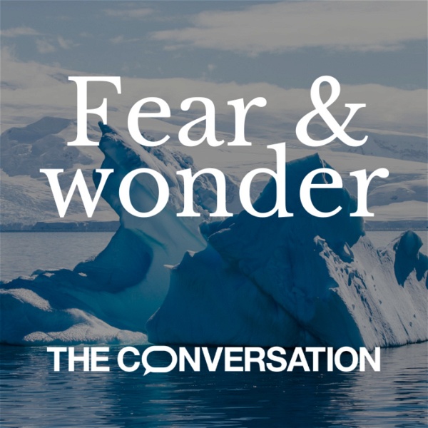 Artwork for Fear and Wonder
