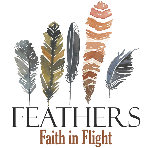 Artwork for Feathers : Faith in Flight