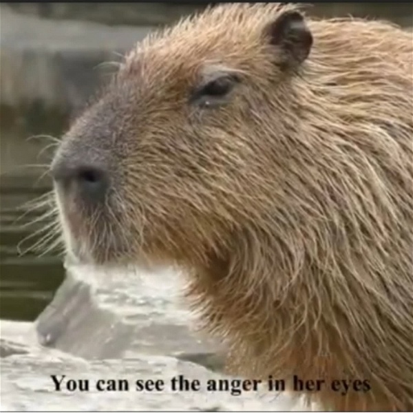 Artwork for Capybara voice
